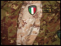 15. вооруженные силы италии и их состав